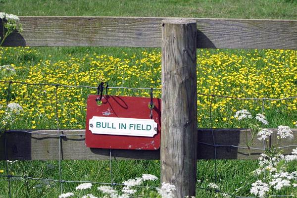 6. The stile & sign.jpg